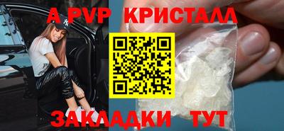 твердый Сланцы